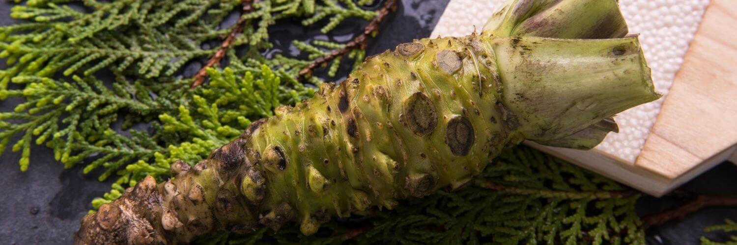 What is Hon Wasabi?