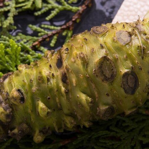 What is Hon Wasabi?