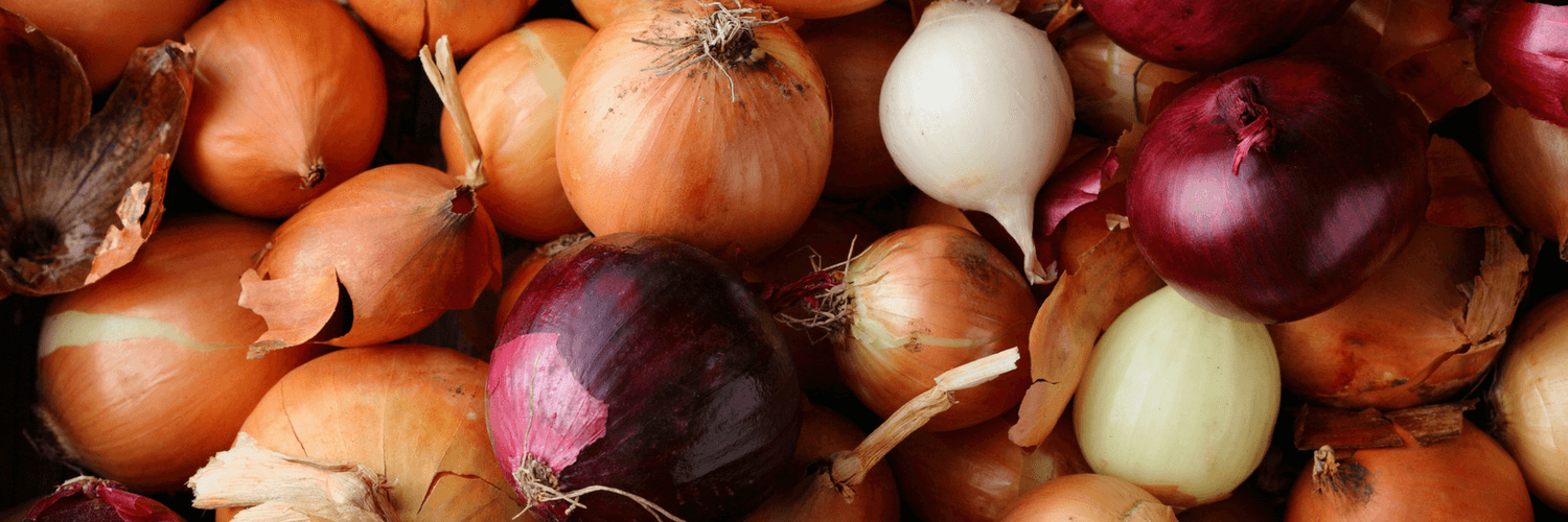 Cooking Japanese Food in Season: February Vegetables