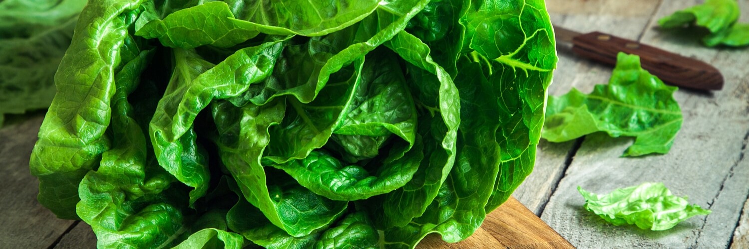 Cooking Japanese Food in Season: April Vegetables