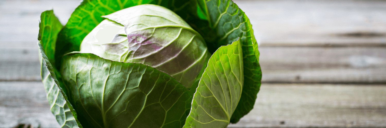 Cooking Japanese Food in Season: March Vegetables