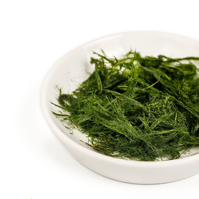 A bowl of dried aonori