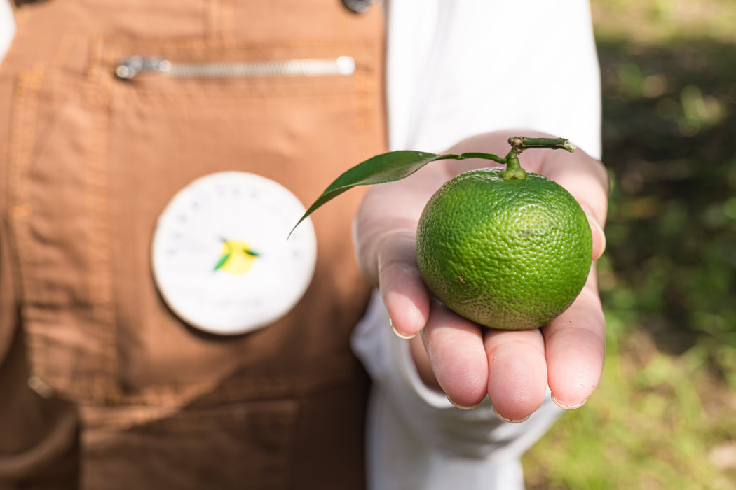 Sudachi Citrus