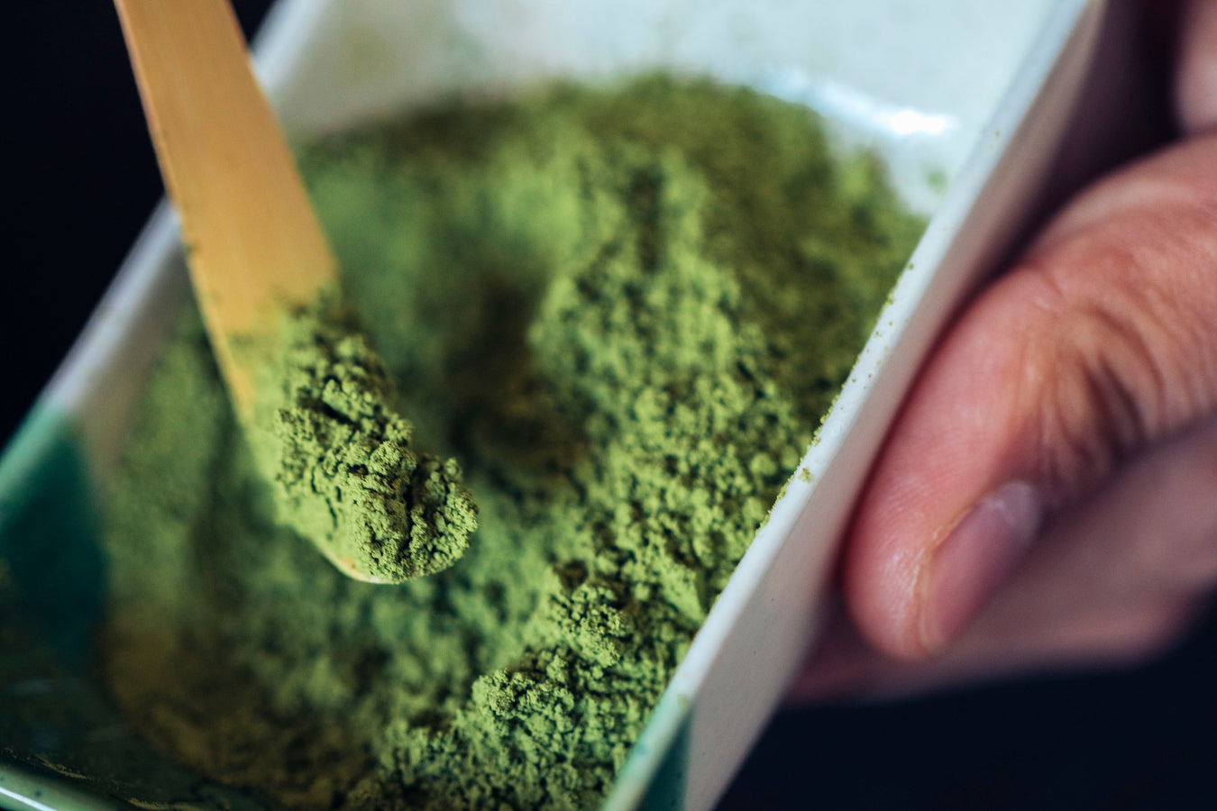 Scooping matcha powder with wooden spoon