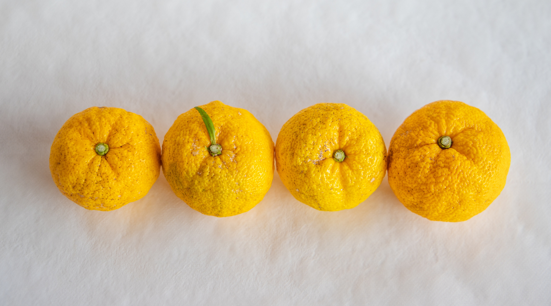 Four yuzu fruits placed horizontally in a line