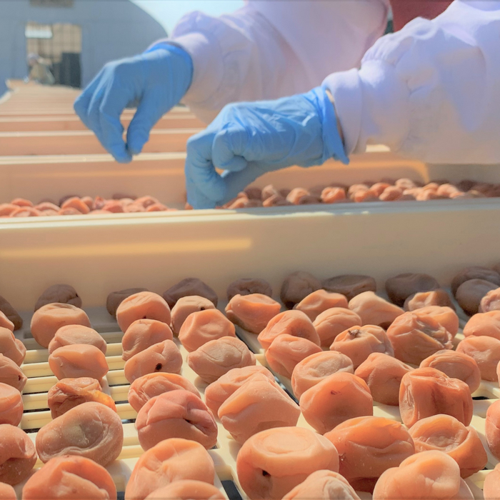 Man picking up pickled ume plums