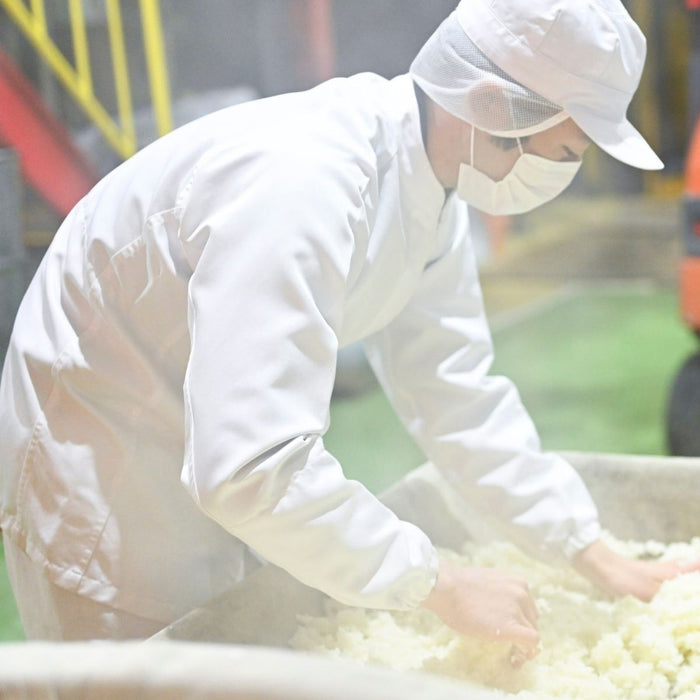 Man holding rice to check quality