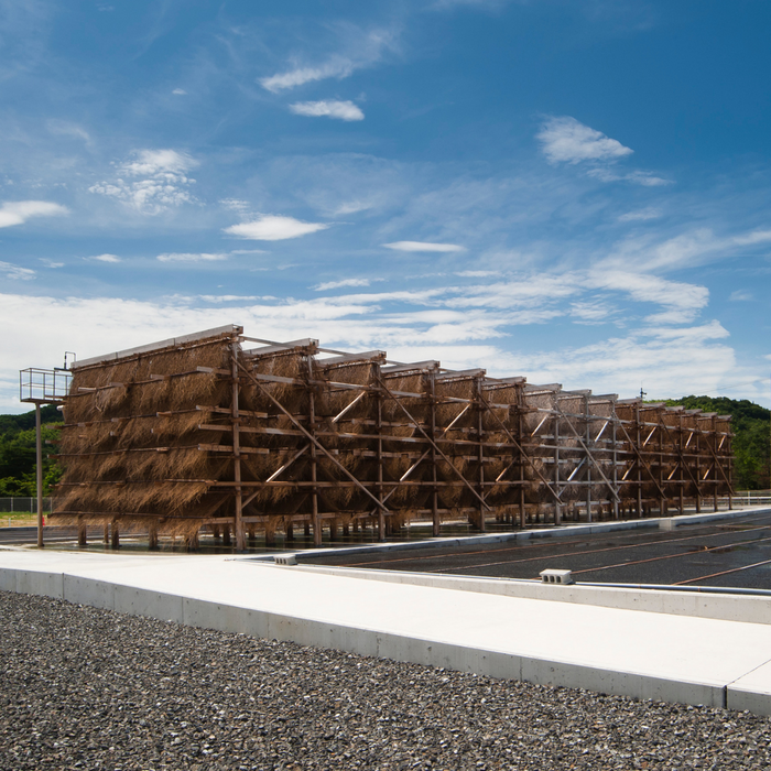 A salt manufacturing facility