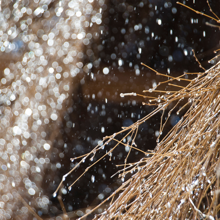 Splash of salt water