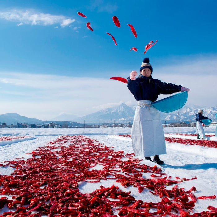 Women throwing chili peppers on to snow ground
