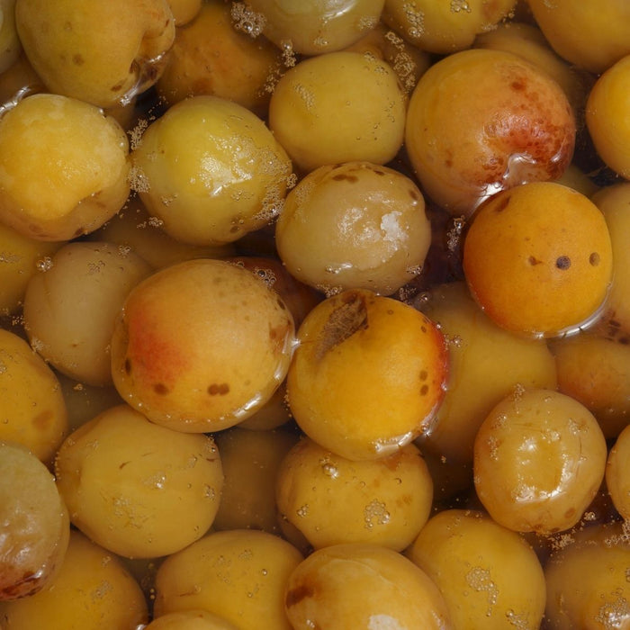 Organic ume plum fruits pickled in barrel
