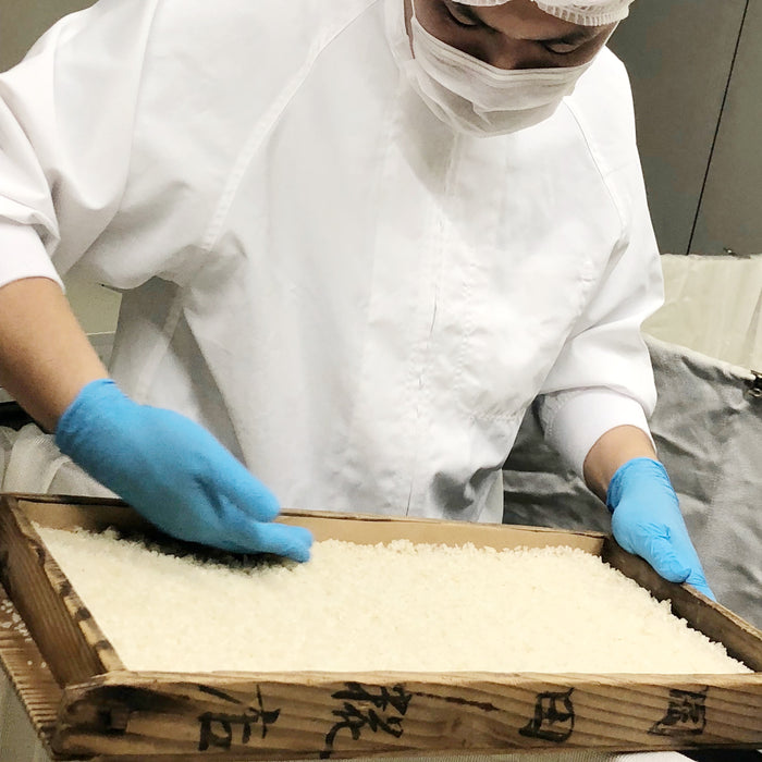 Man smoothing dried rice koji on wooden bucket by hand