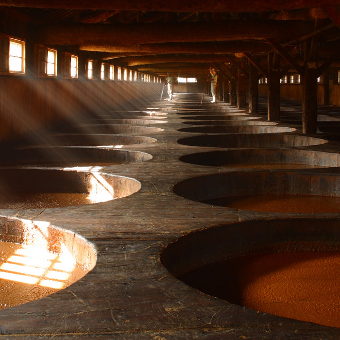 Two craftsmen stirring soy sauce in soy sauce brewery