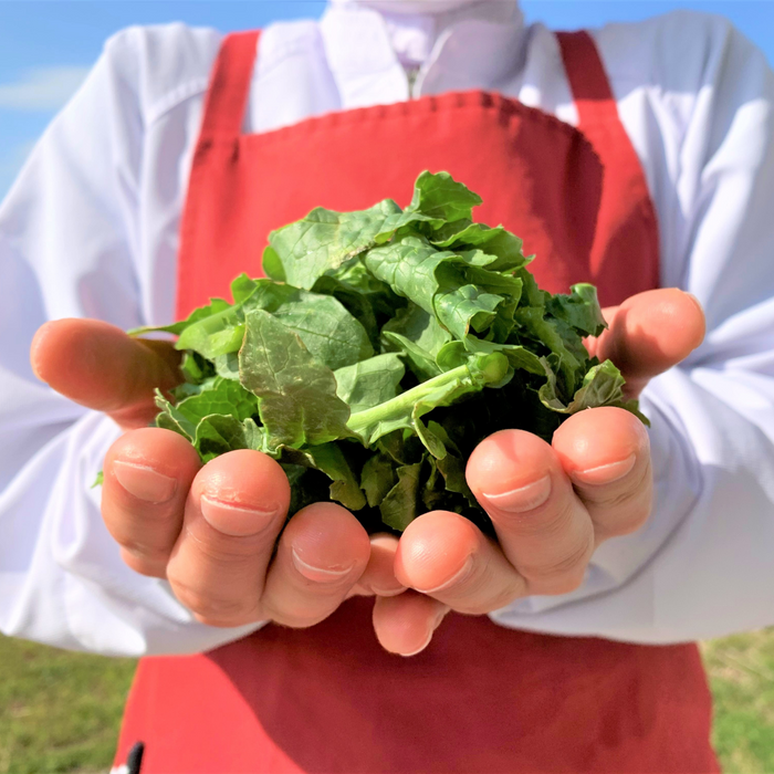 Man holding tsuda turnip grens