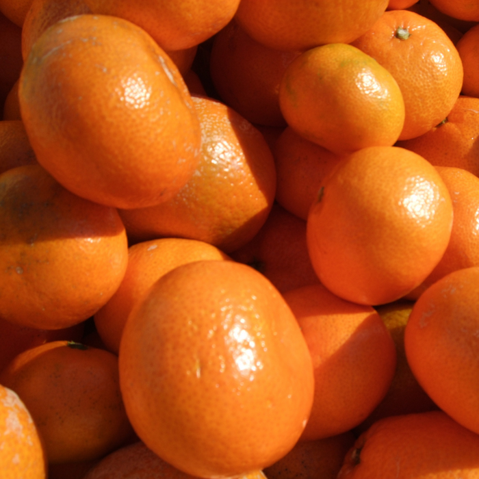 Mikan mandarin fruits