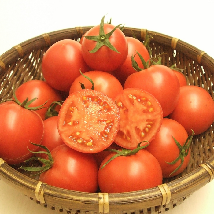 Tens of tomatoes on a bamboo tray